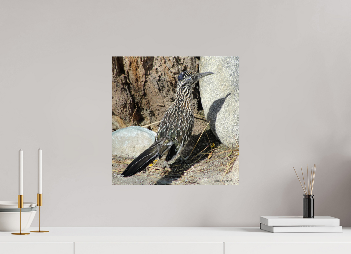 16 x 16.3″, Photo Print Under Acrylic Glass Zillas Zoom Image 362