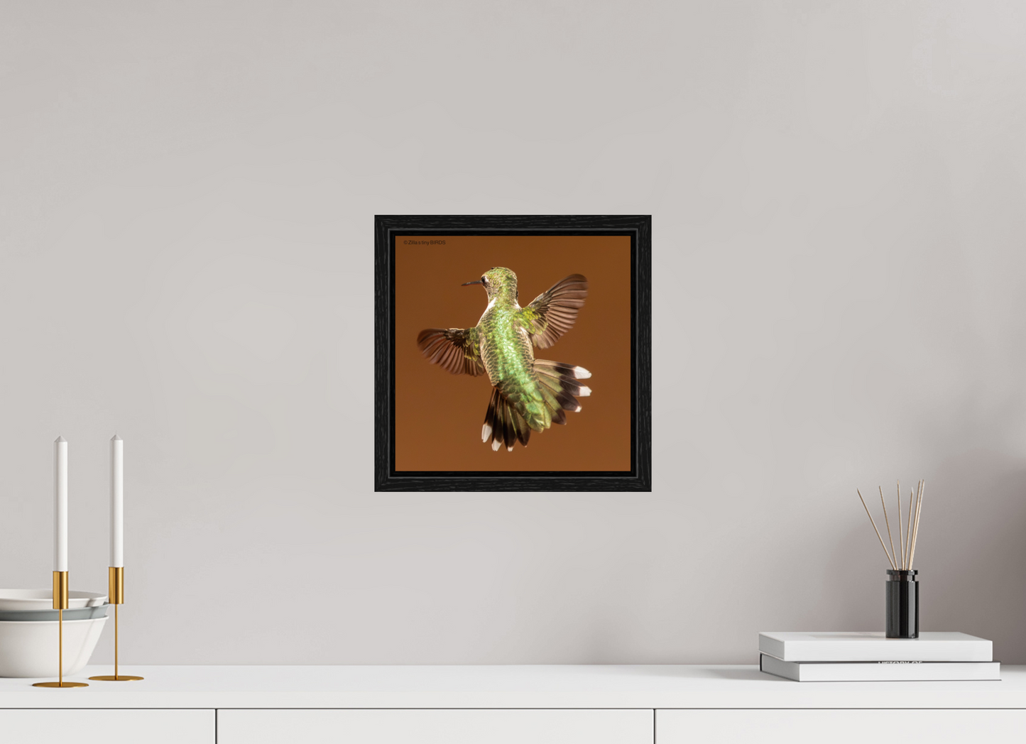 10 x 10″, Floater Frame Zillas Zoom Image 338