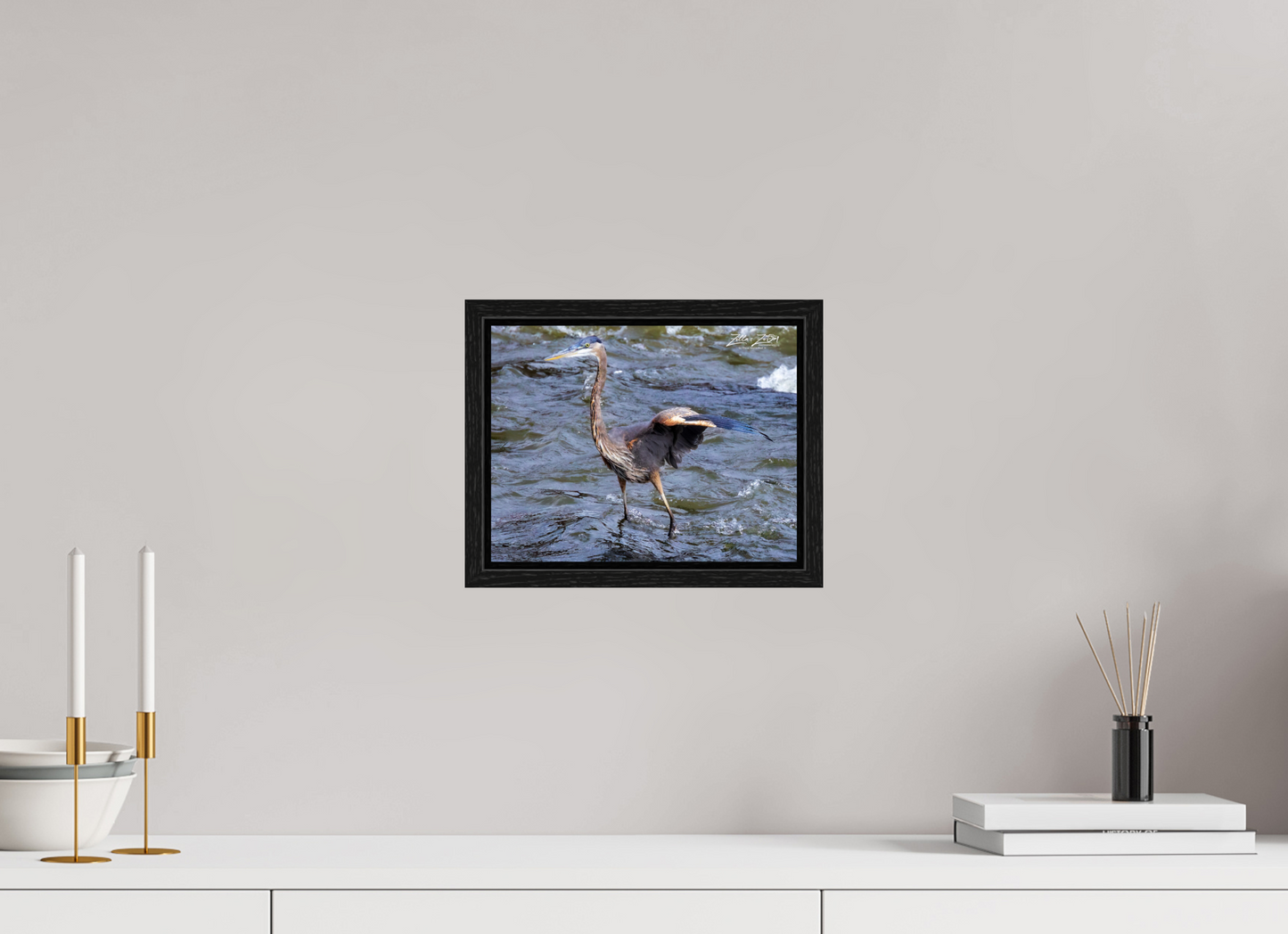 10.4 x 8″, Floater Frame Zillas Zoom Image 301