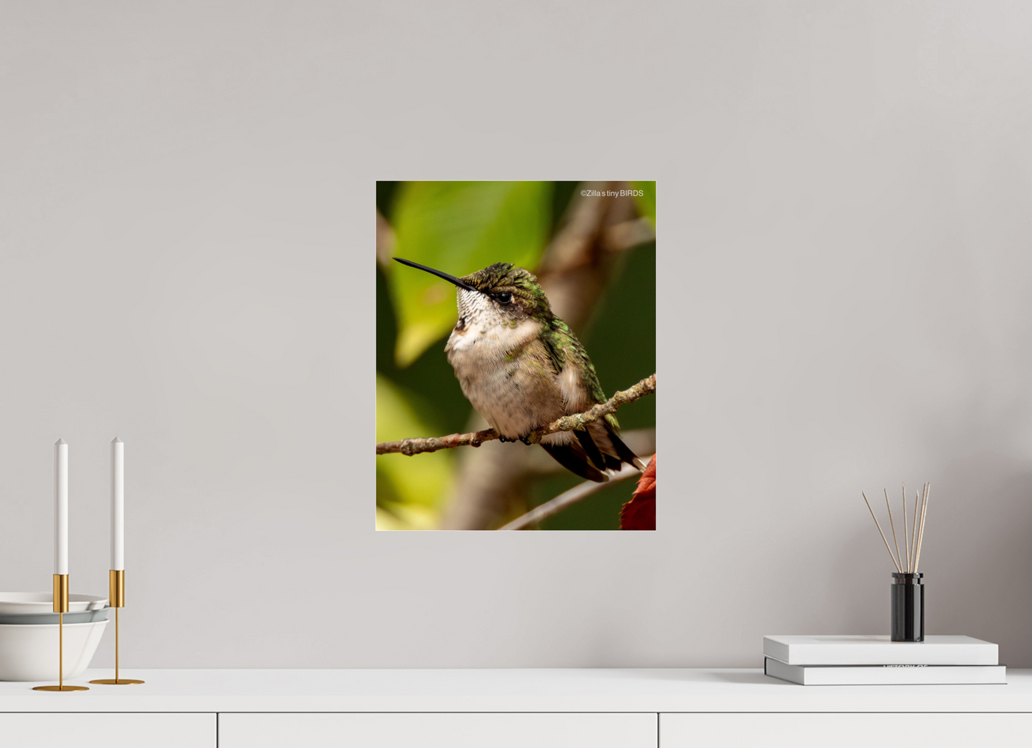 12 x 15″, Photo Print Under Acrylic Glass Zillas Zoom Image 515
