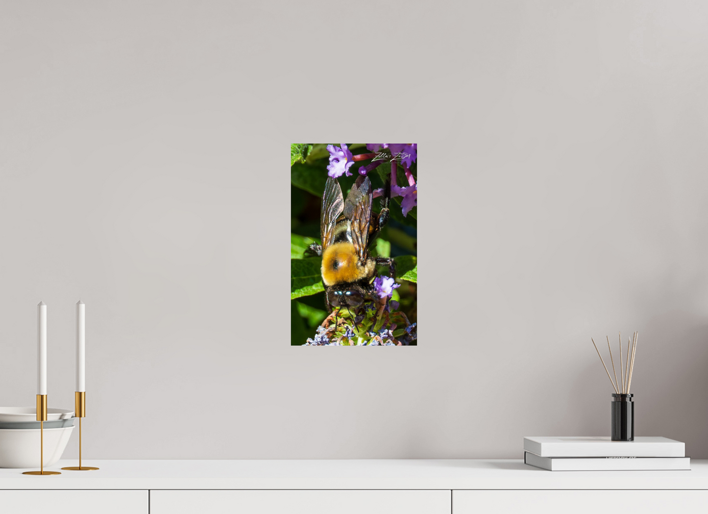 8 x 12.8″, Photo Print On Fuji Crystal DP II Zillas Zoom Image 109