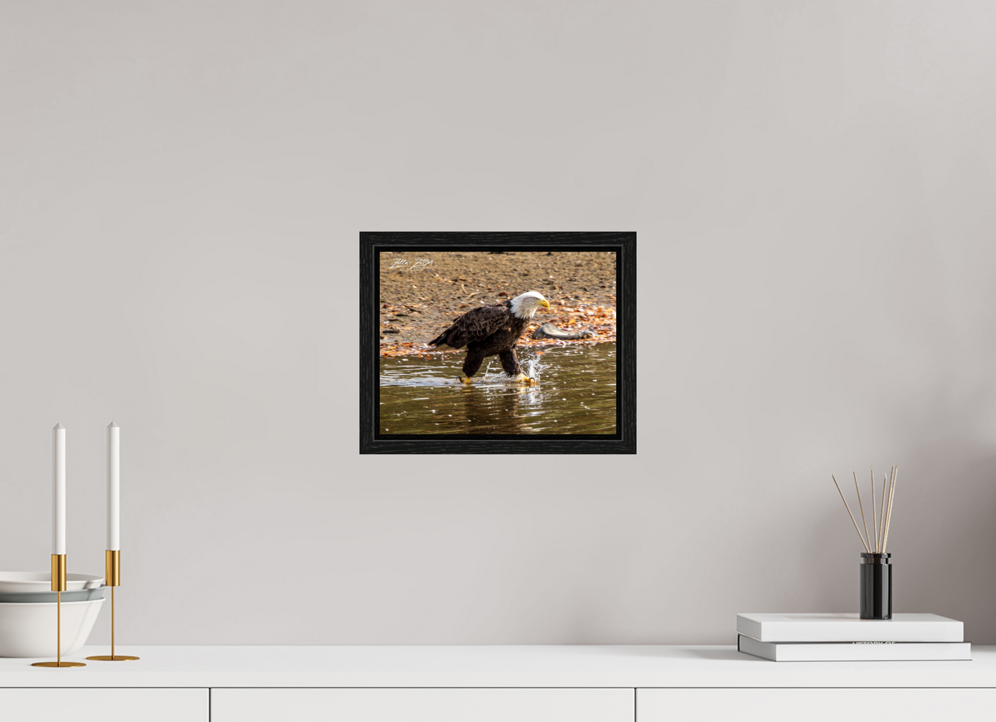 10.4 x 8″, Floater Frame Zillas Zoom Image 303
