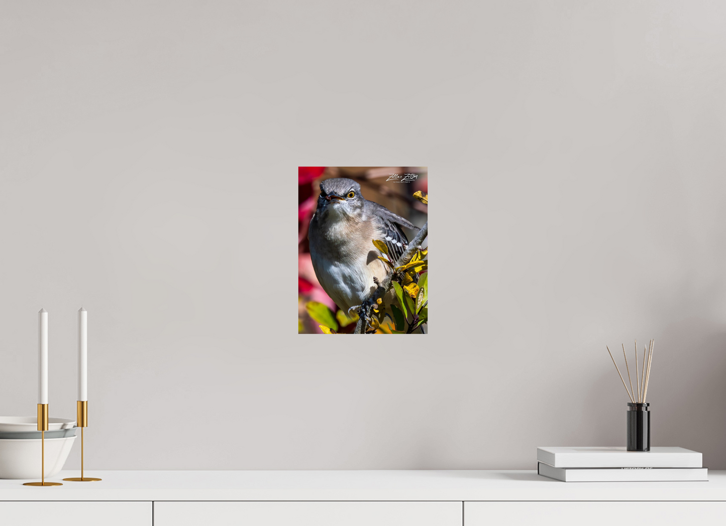 8 x 10.4″, Photo Print On Fuji Crystal DP II Zillas Zoom Image 402