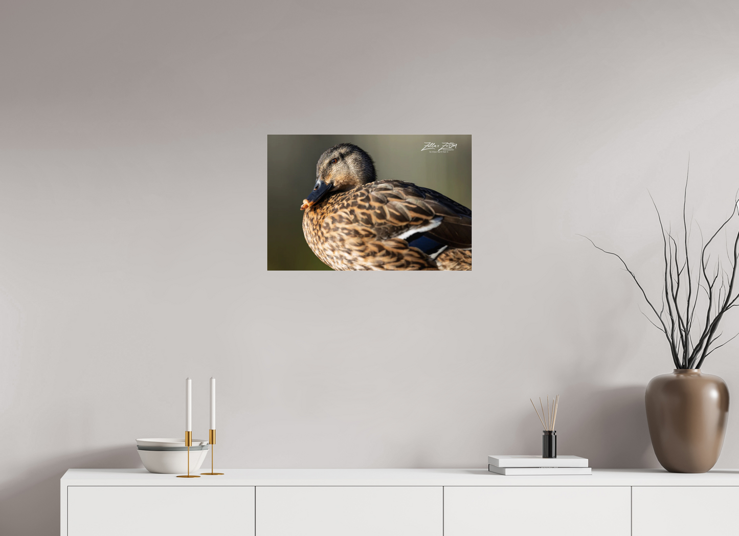24 x 16″, Photo Print Under Acrylic Glass Zillas Zoom Image 300