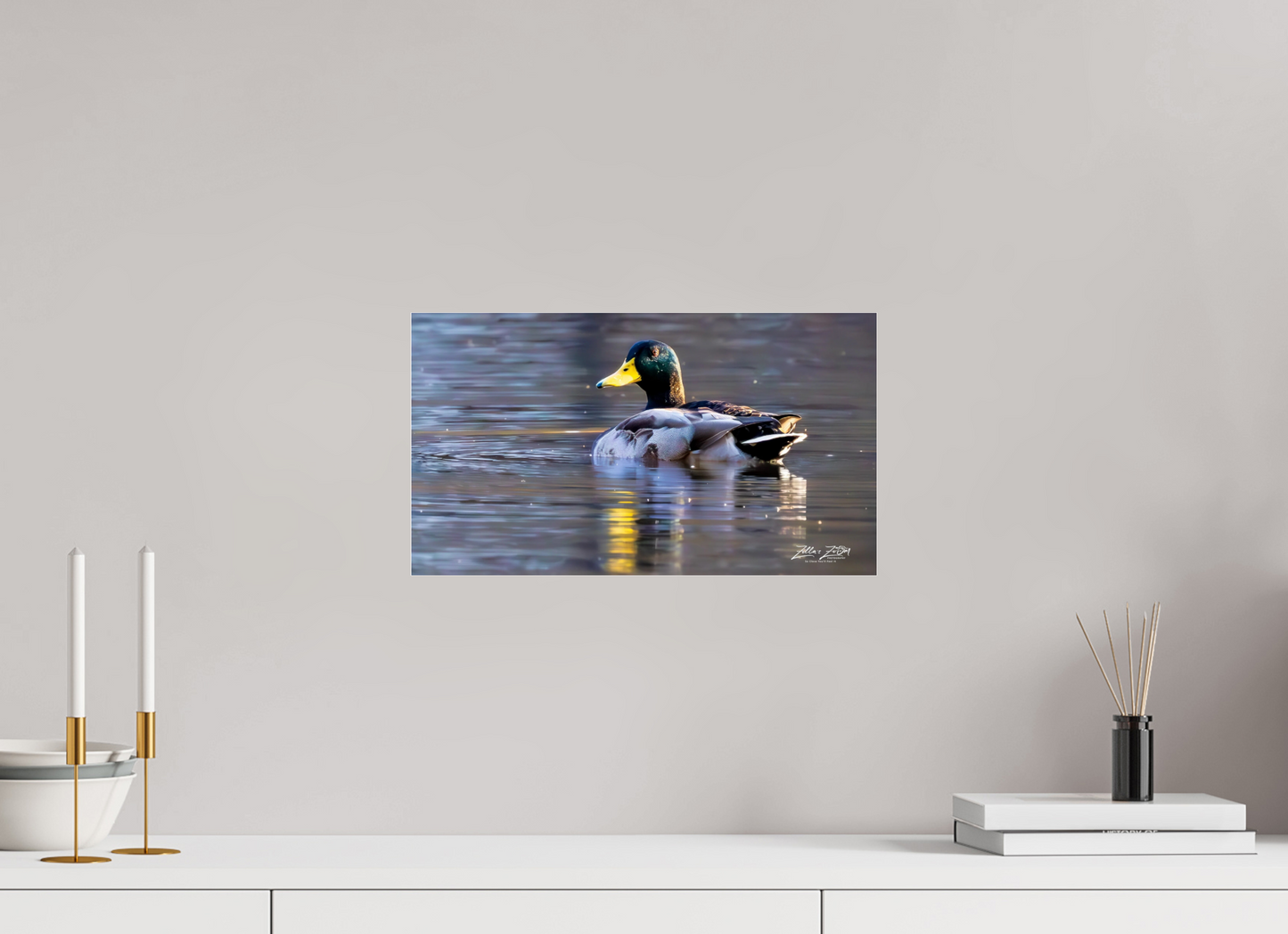 16 x 9″, Photo Print Under Acrylic Glass Zillas Zoom Image 334