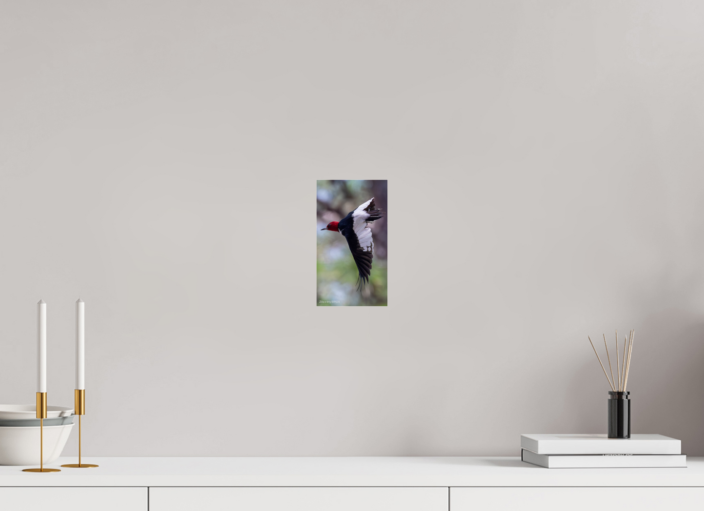 4.5 x 8″, Photo Print Under Acrylic Glass Zillas Zoom Image 482