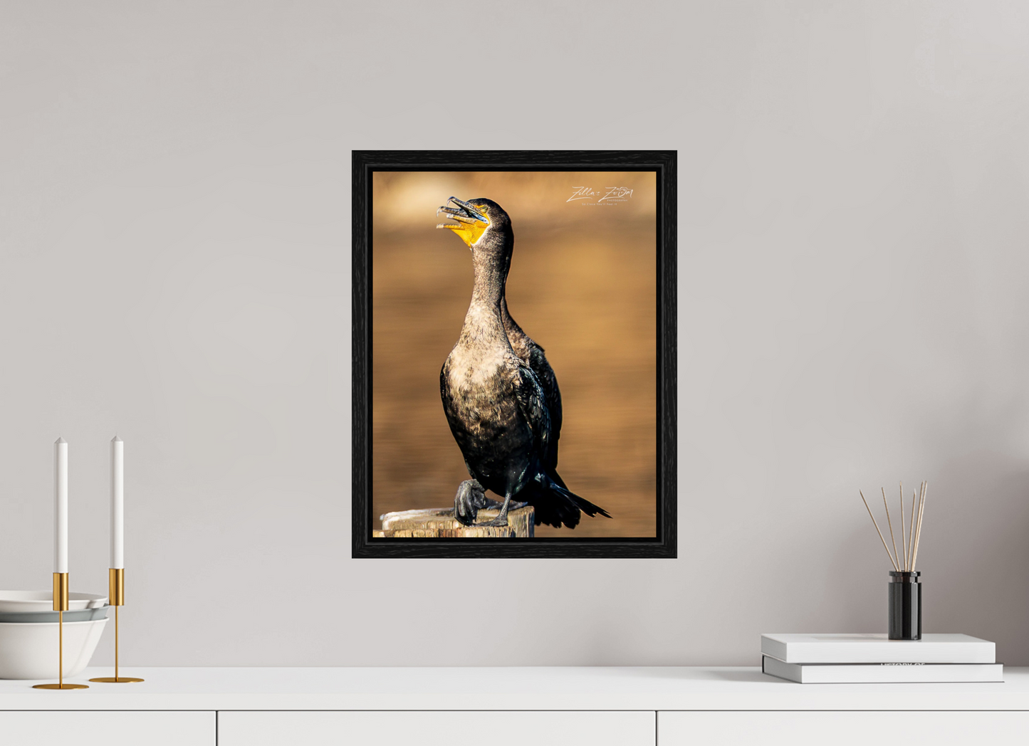 12 x 15.5″, Floater Frame Zillas Zoom Image 421