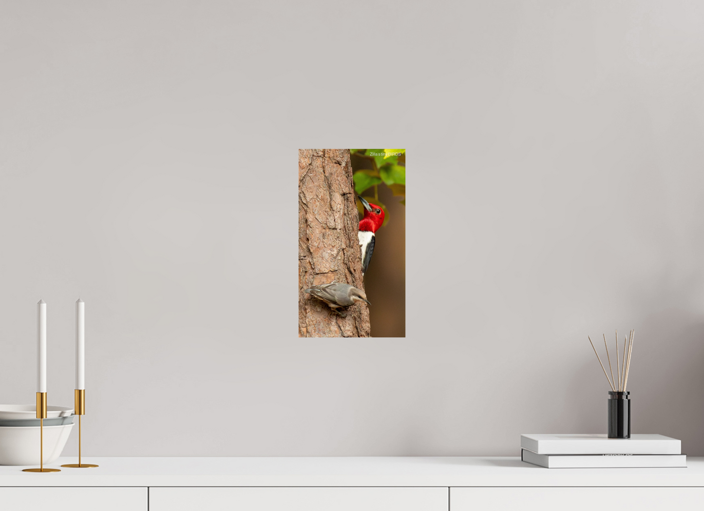 6.8 x 12″, Photo Print On Fuji Crystal DP II Zillas Zoom Image 490