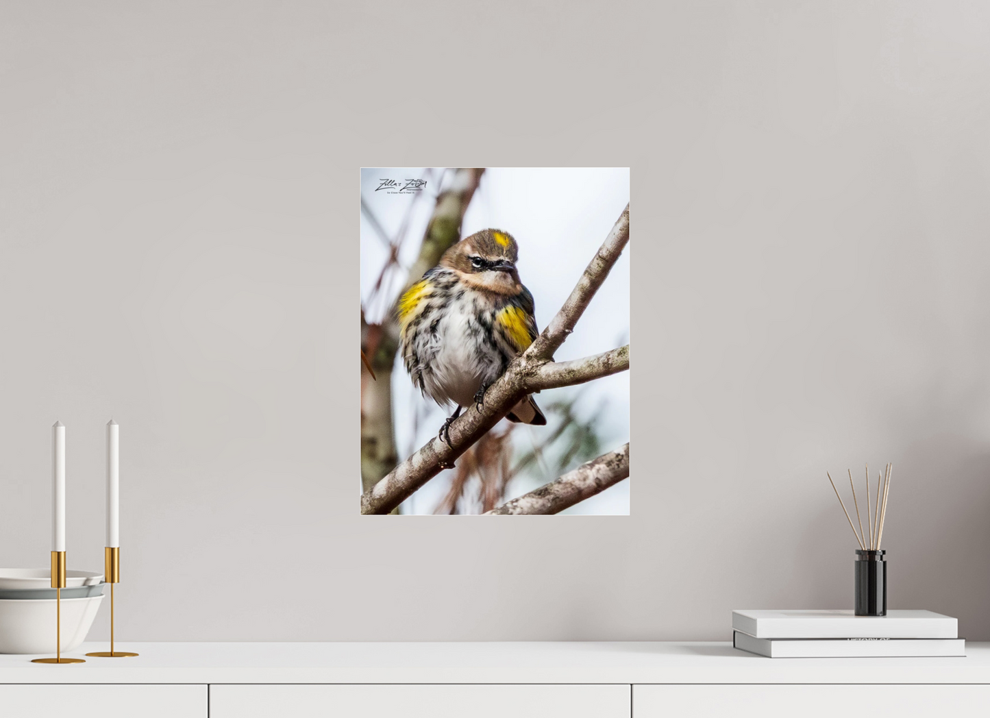 12 x 15.5″, Photo Print Under Acrylic Glass Zillas Zoom Image 496