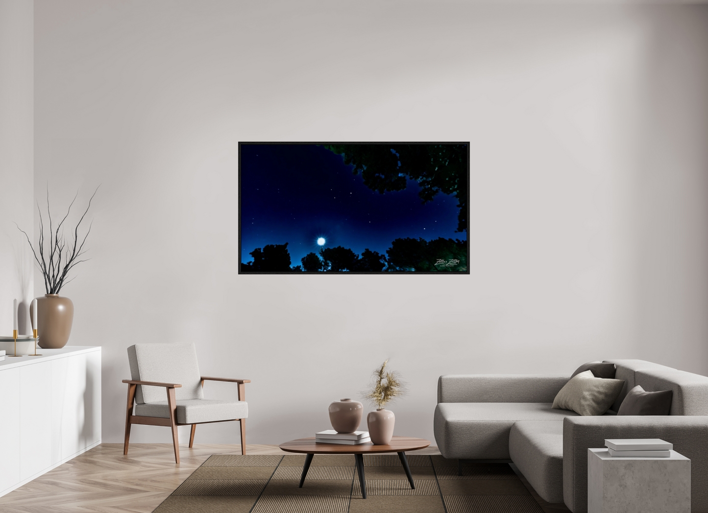 64 x 36″, Floater Frame Zillas zoom image 119