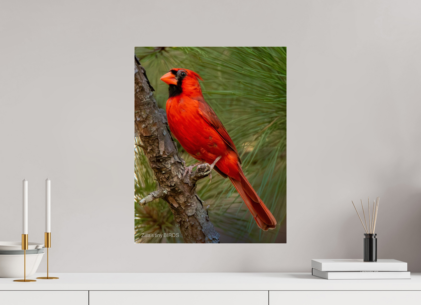 16 x 20.7″, Photo Print Under Acrylic Glass Zillas Zoom Image 521