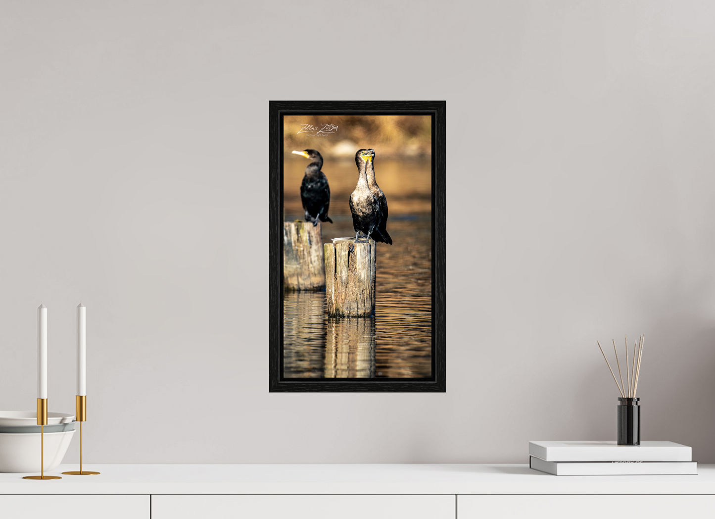 9 x 16″, Floater Frame Zillas Zoom Image 426