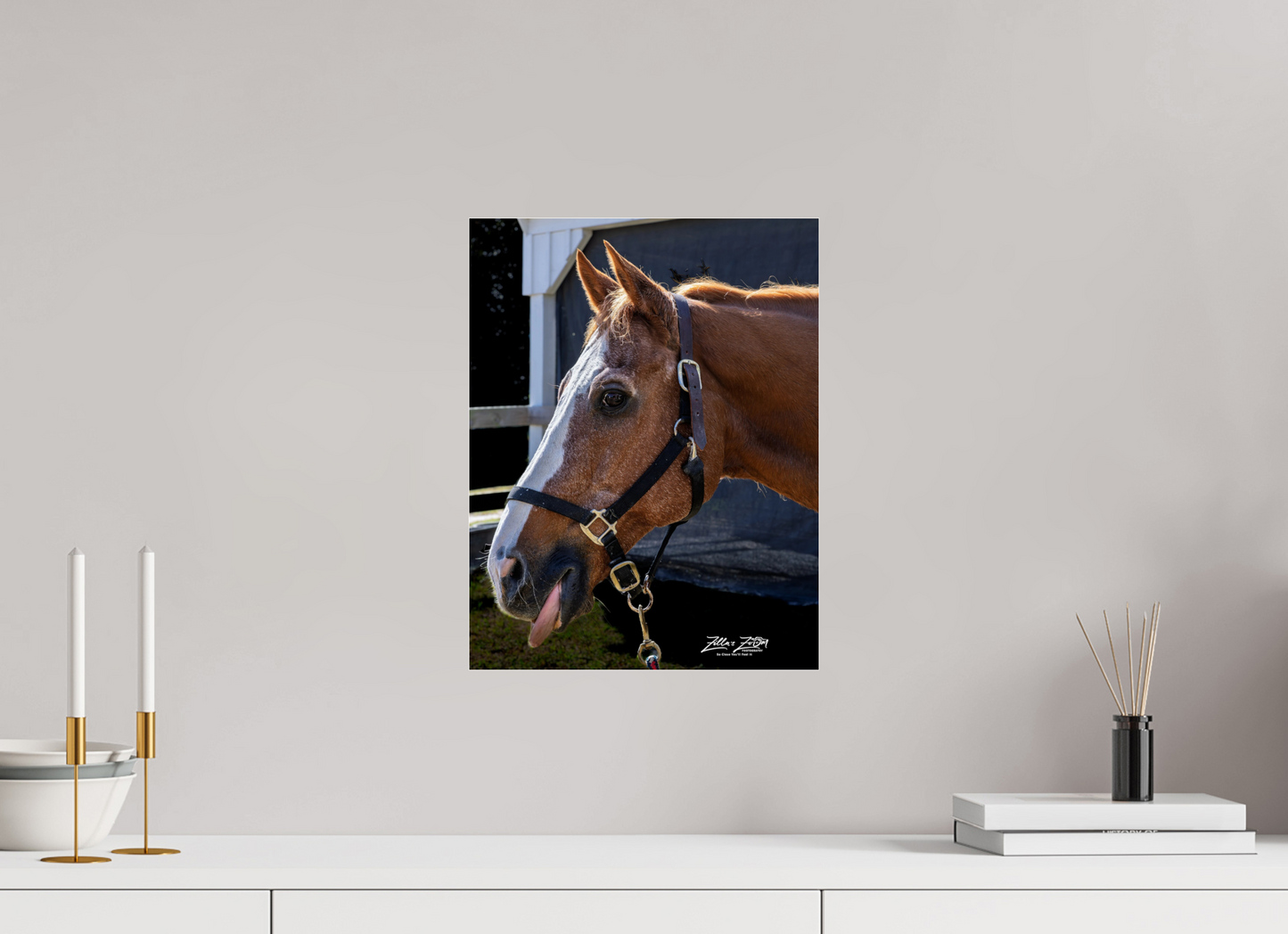 12 x 15.5″, Photo Print Under Acrylic Glass Zillas zoom image 157