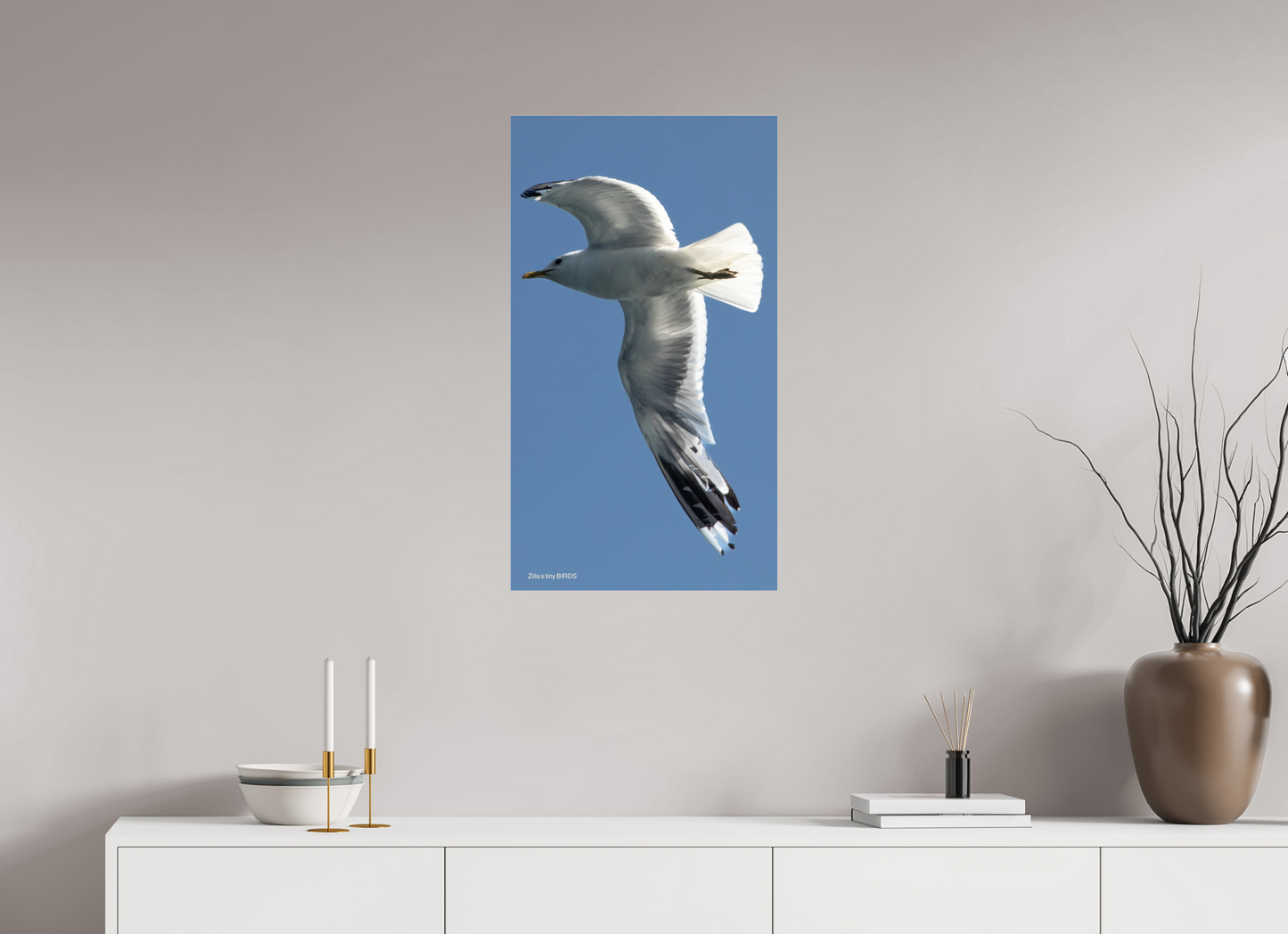 18 x 32″, Photo Print Under Acrylic Glass Zillas Zoom Image 465