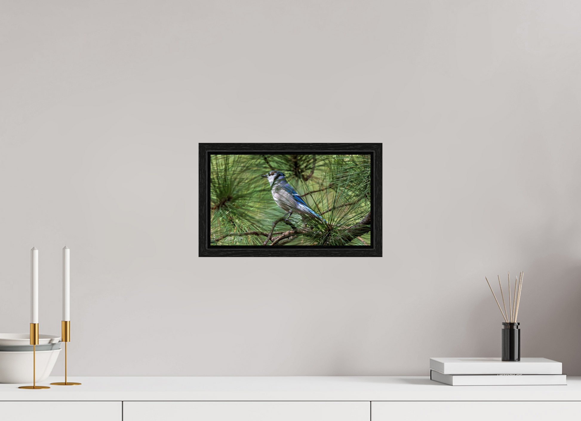 12 x 6.8″, Floater Frame Zillas Zoom Image 344