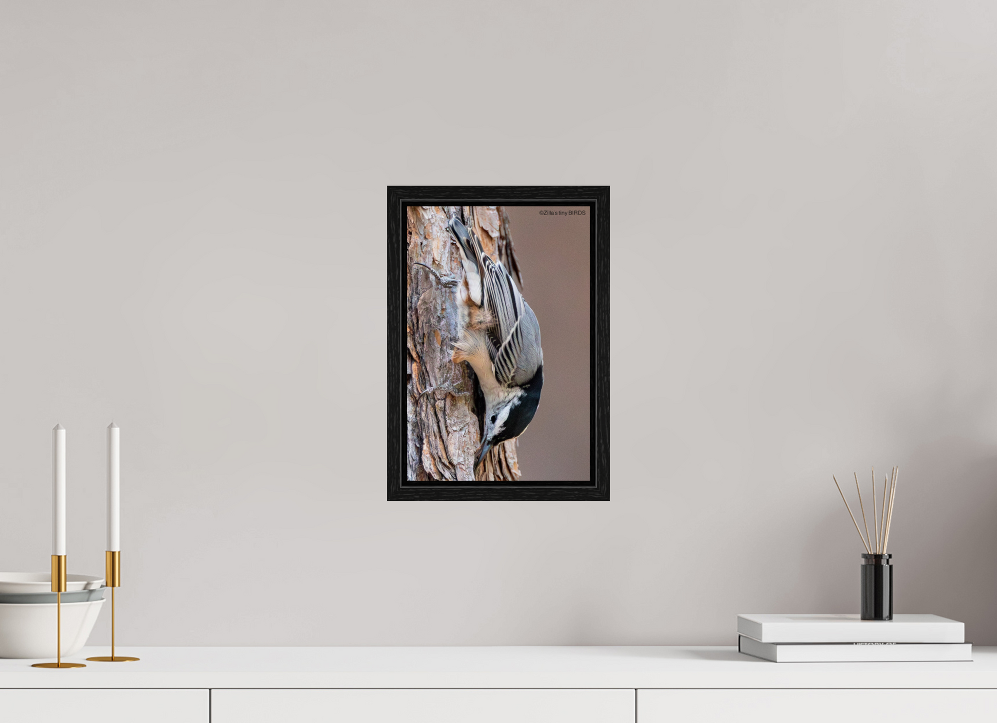 8 x 12″, Floater Frame Zillas Zoom Image 432