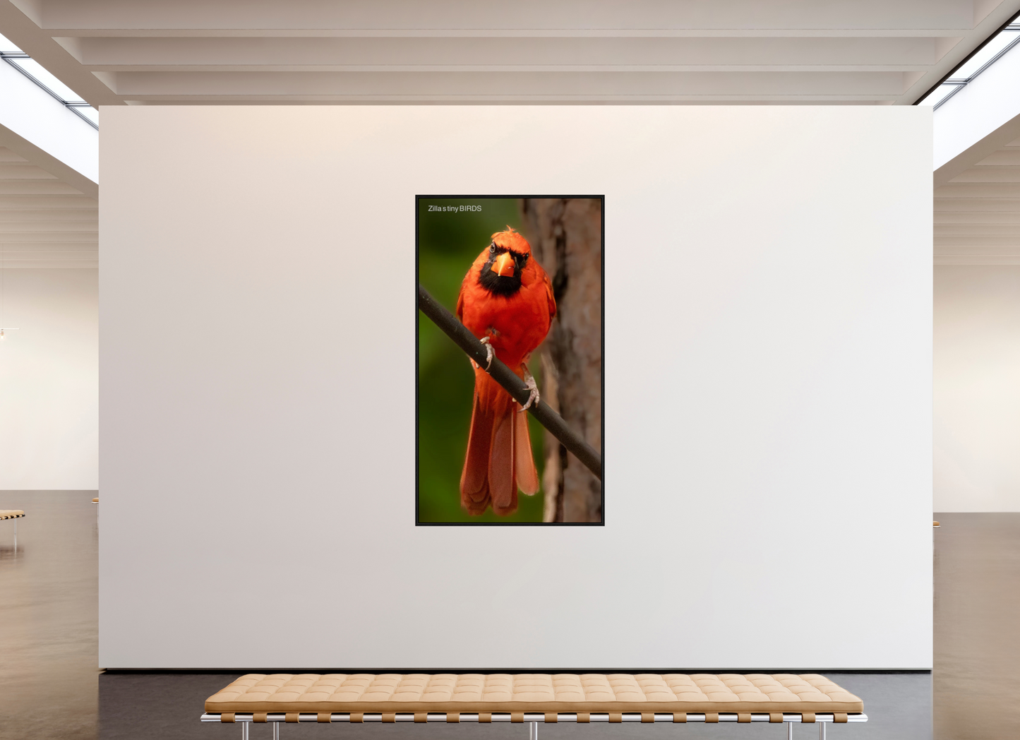 45 x 80″, Floater Frame Zillas Zoom Image 484