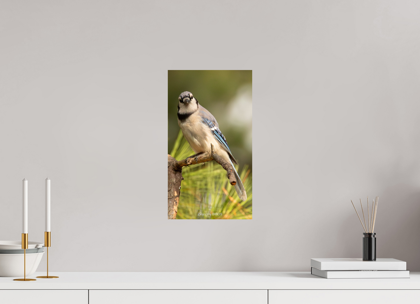 9 x 16″, Photo Print On Fuji Crystal DP II Zillas Zoom Image 494
