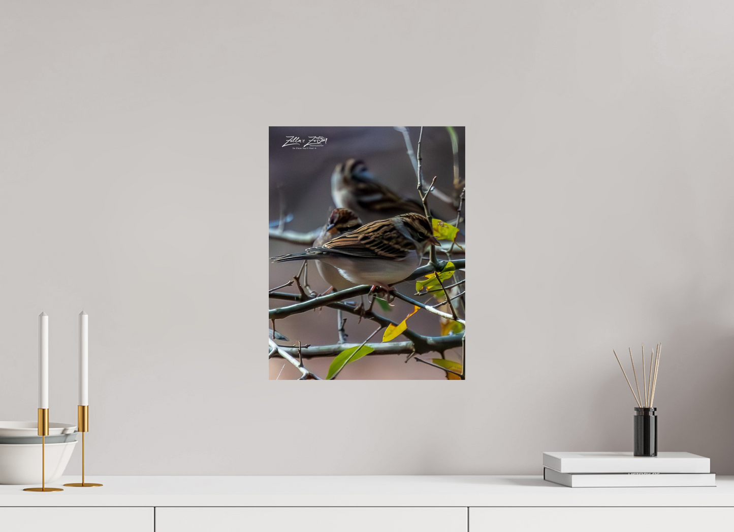 12 x 15.5″, Photo Print On Fuji Crystal DP II Zillas Zoom Image 427