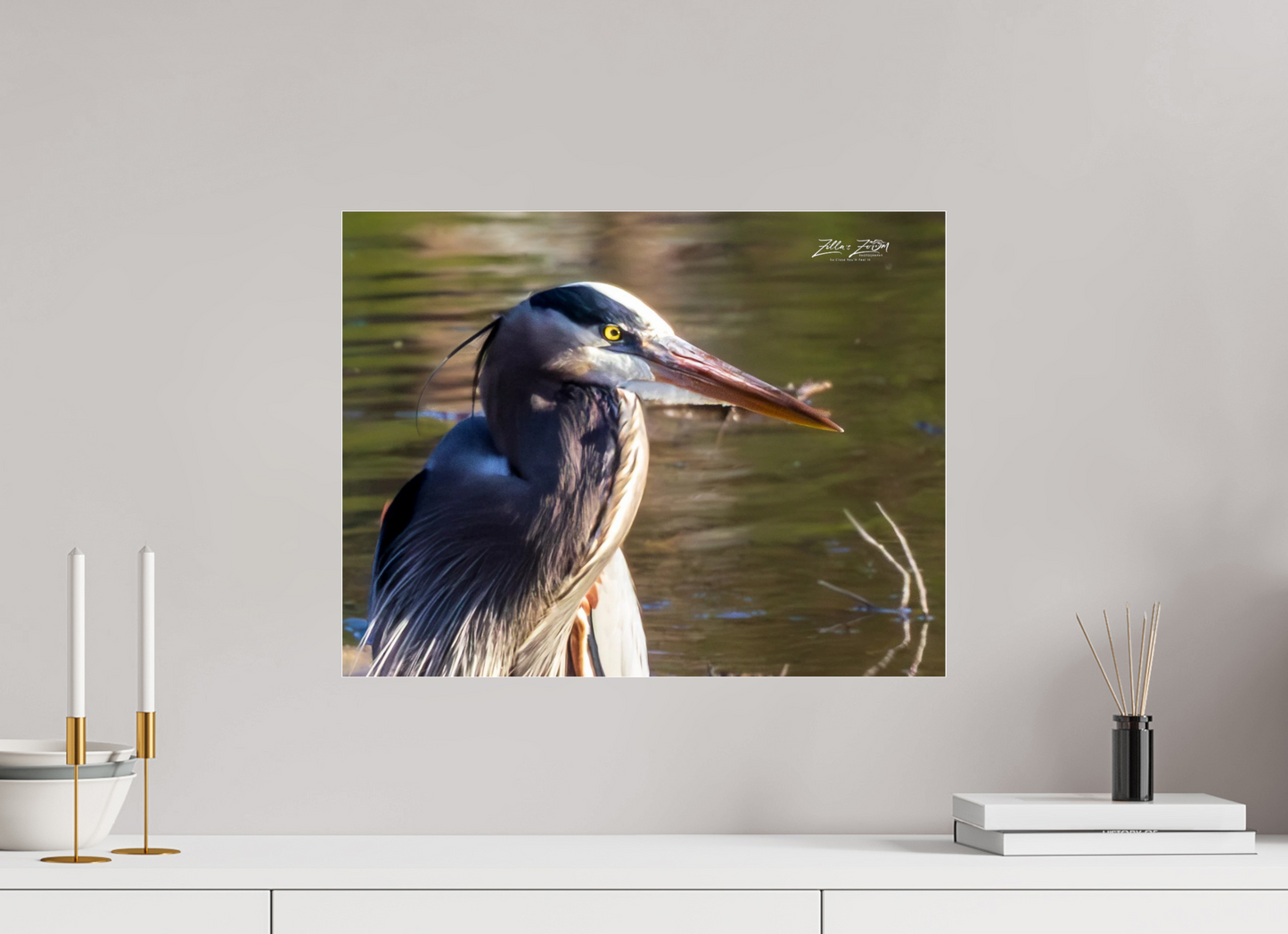 20.7 x 16″, Photo Print Under Acrylic Glass Zillas Zoom Image 267