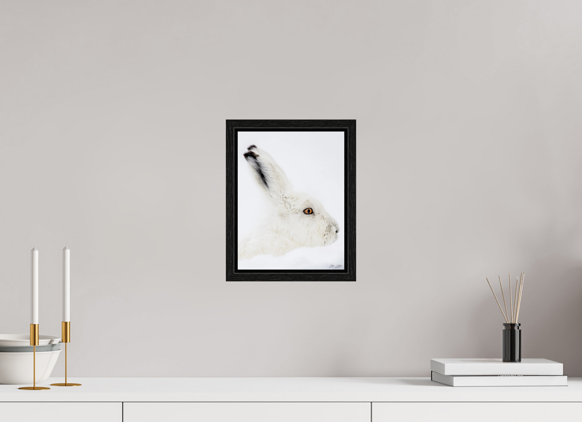 8 x 10.4″, Floater Frame Zillas zoom image 150