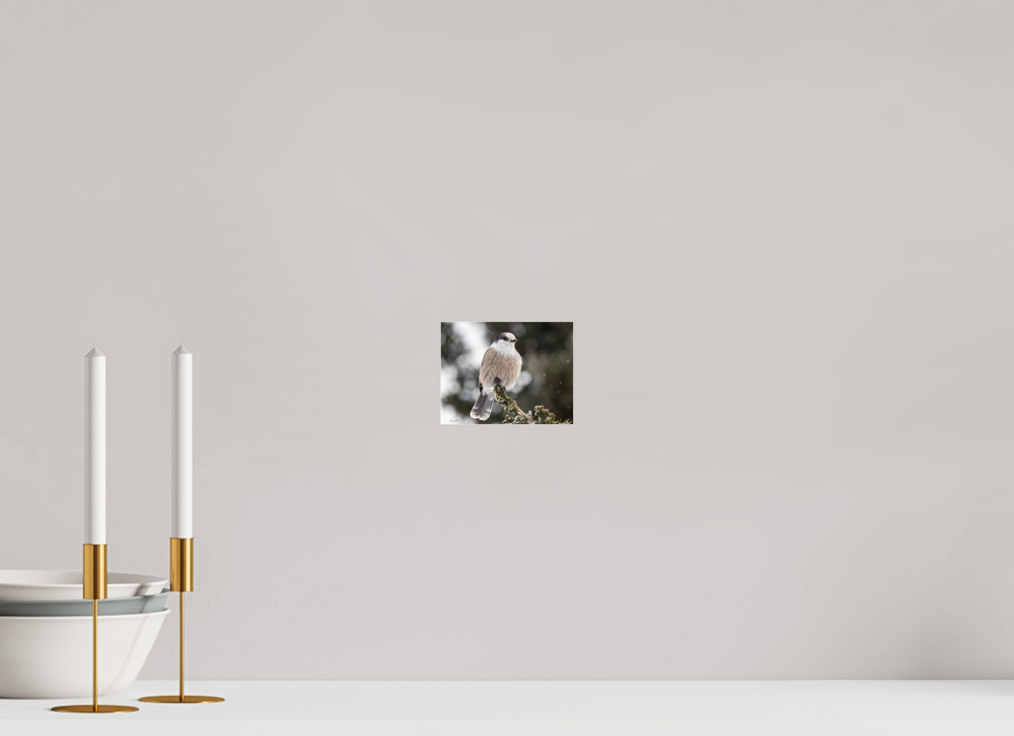 5.2 x 4″, Photo Print Under Acrylic Glass Zillas Zoom Image 353