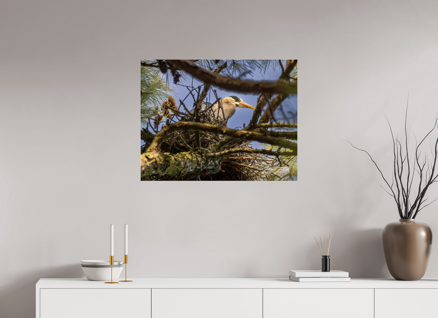 31.1 x 24″, Photo Print Under Acrylic Glass Zillas Zoom Image 361