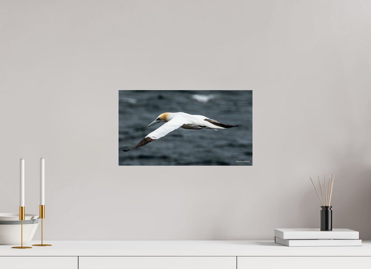 16 x 9″, Photo Print Under Acrylic Glass Zillas Zoom Image 324