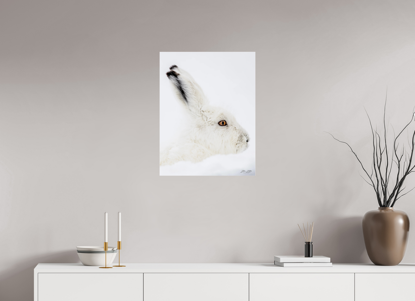 20 x 25.9″, Photo Print Under Acrylic Glass Zillas zoom image 150