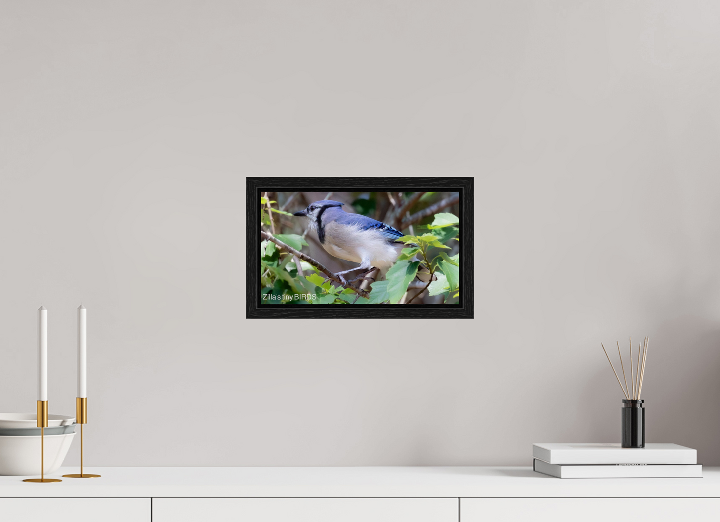 12 x 6.8″, Floater Frame Zillas Zoom Image 377