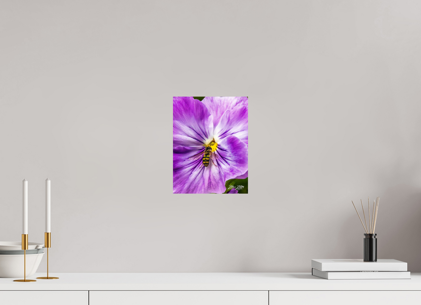 8 x 10.4″, Photo Print On Fuji Crystal DP II Zillas Zoom Image 112