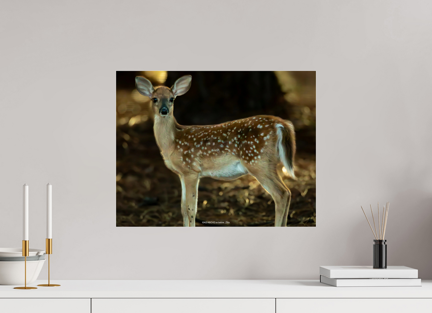 20.5 x 16″, Photo Print Under Acrylic Glass Zillas zoom image 140