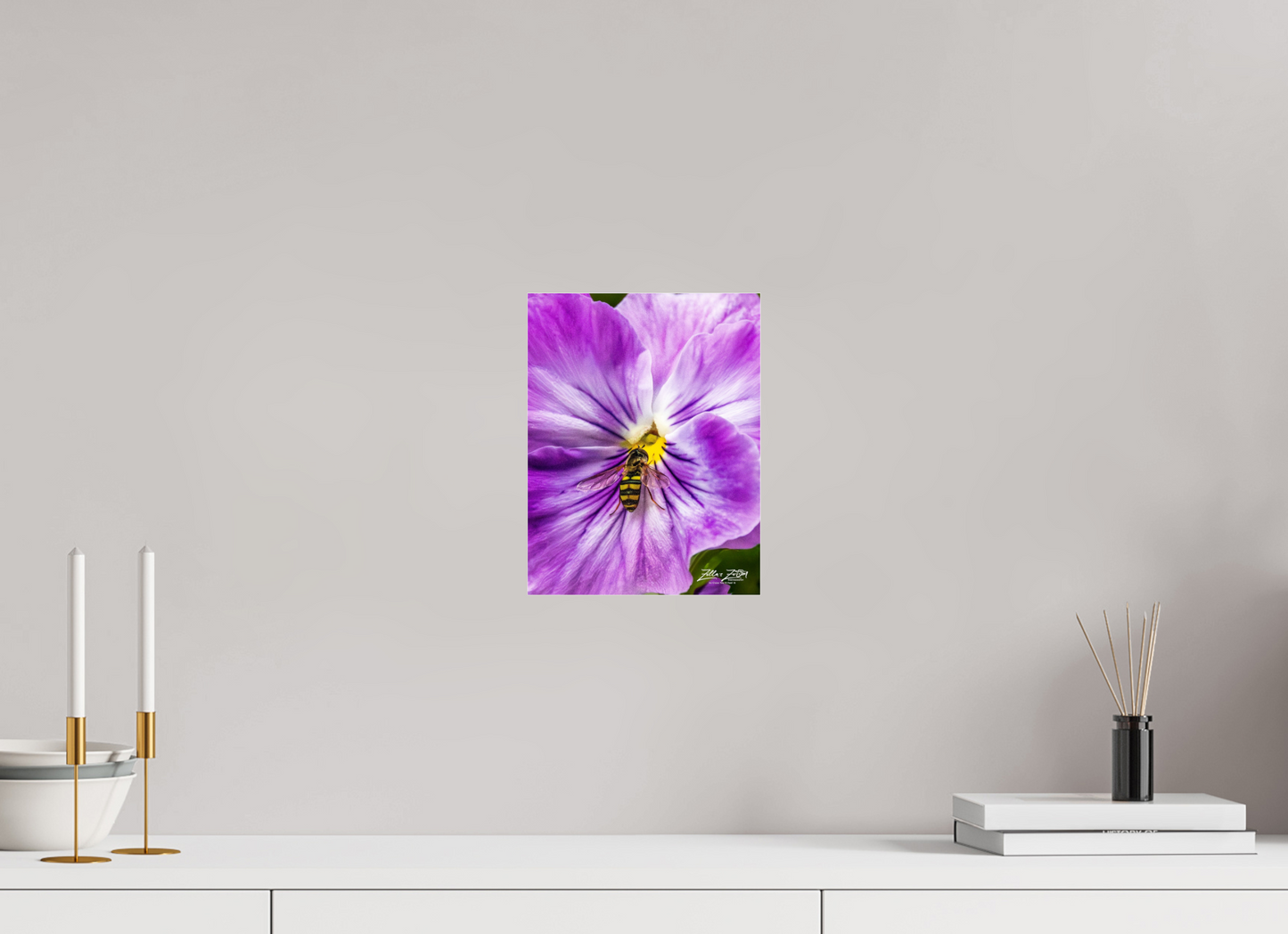 8 x 10.4″, Photo Print Under Acrylic Glass Zillas Zoom Image 112