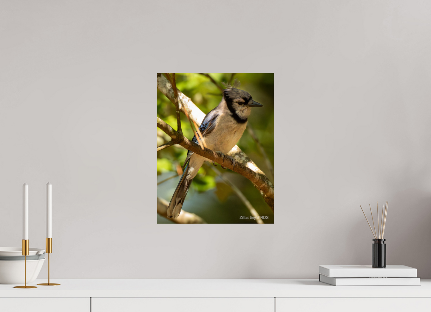 12 x 15.5″, Photo Print Under Acrylic Glass Zillas Zoom Image 519