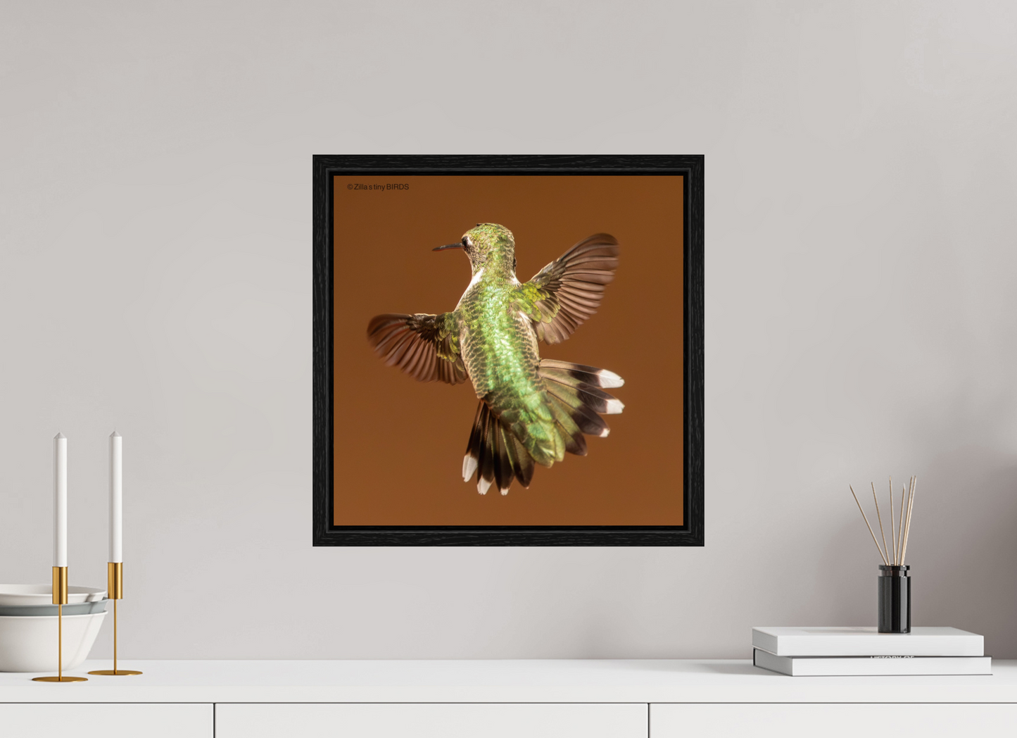 15 x 15″, Floater Frame Zillas Zoom Image 338
