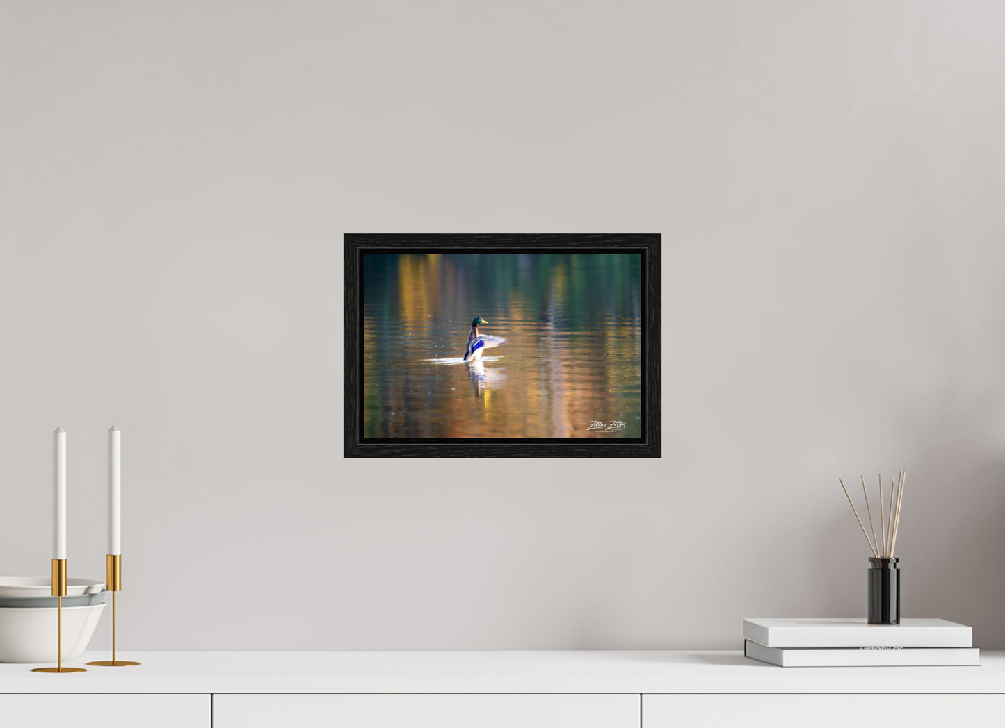 12 x 8″, Floater Frame Zillas Zoom Image 345