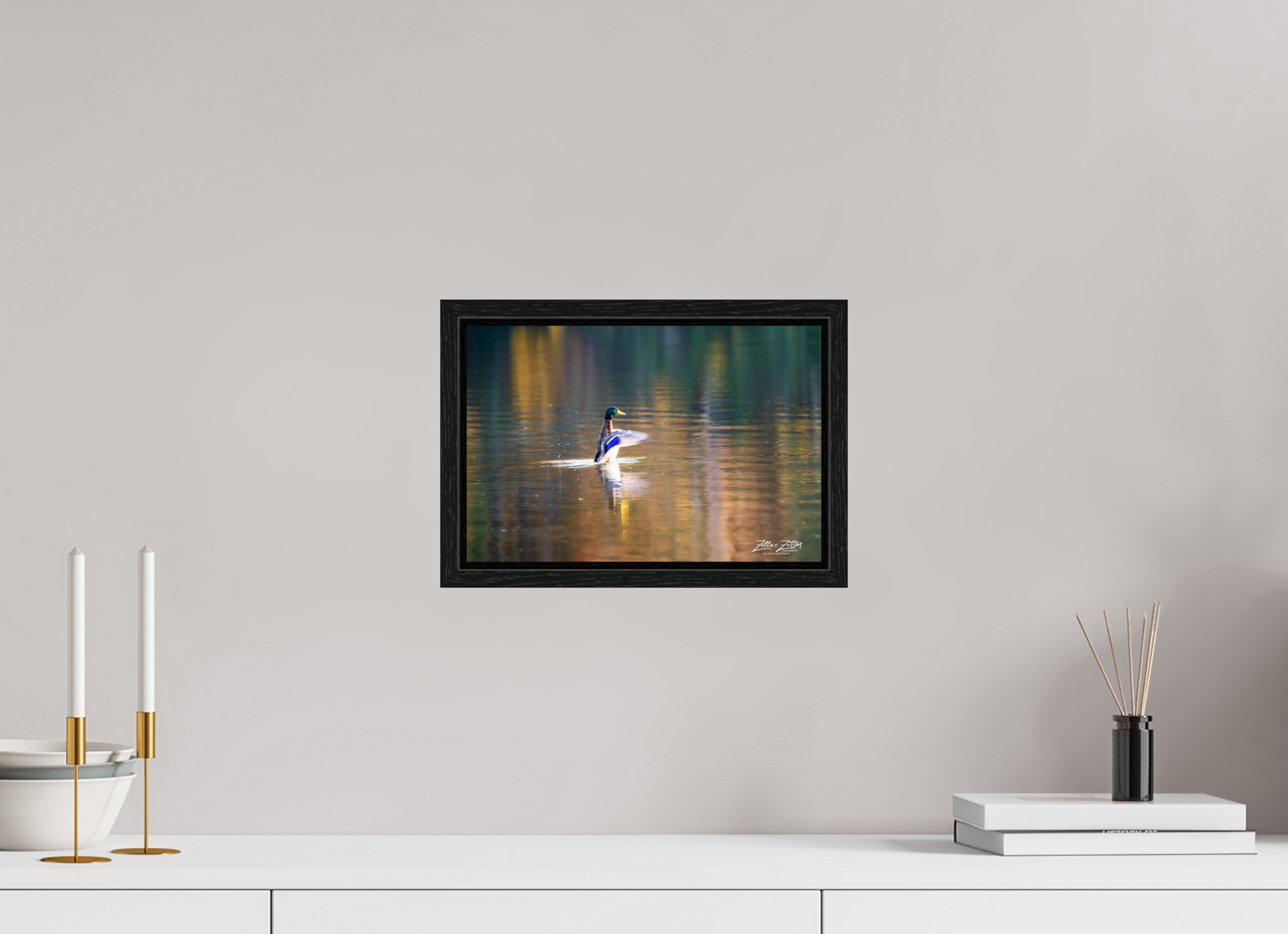 12 x 8″, Floater Frame Zillas Zoom Image 345