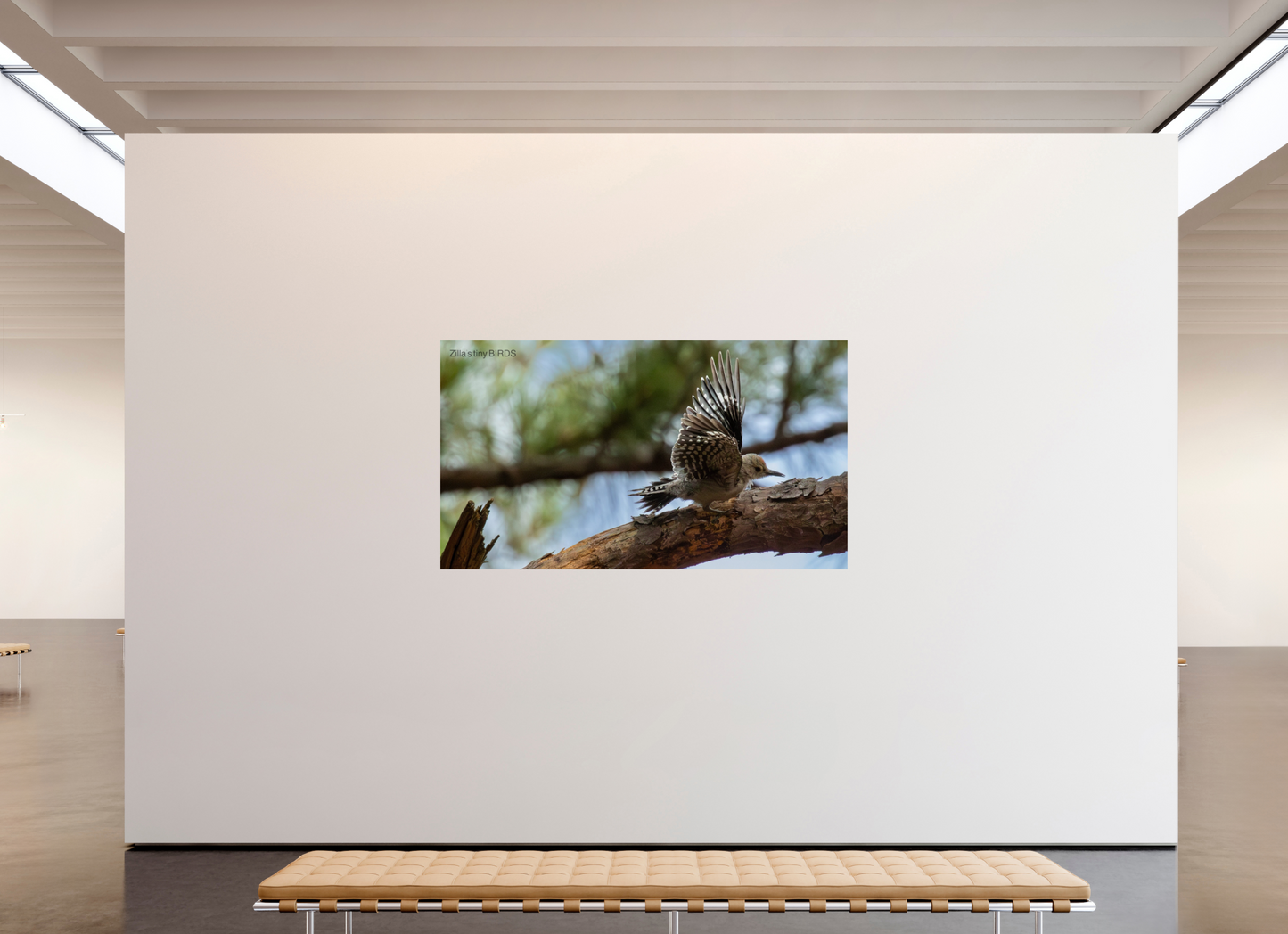 80 x 45″, Photo Print On Fuji Crystal DP II Zillas Zoom Image 388