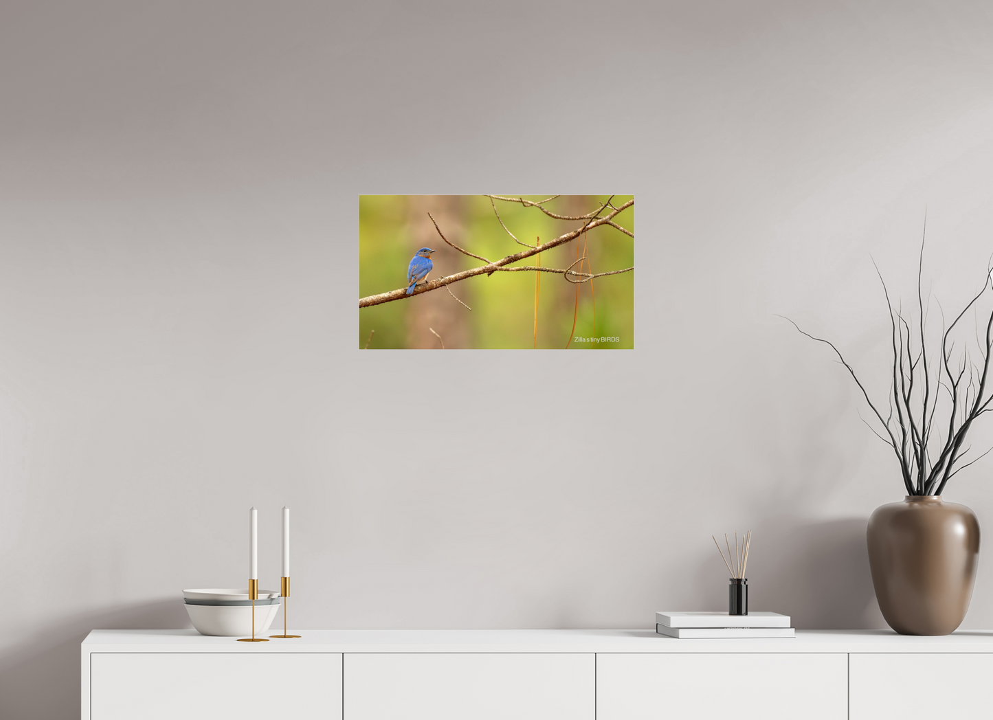24 x 13.5″, Photo Print Under Acrylic Glass Zillas Zoom Image 382