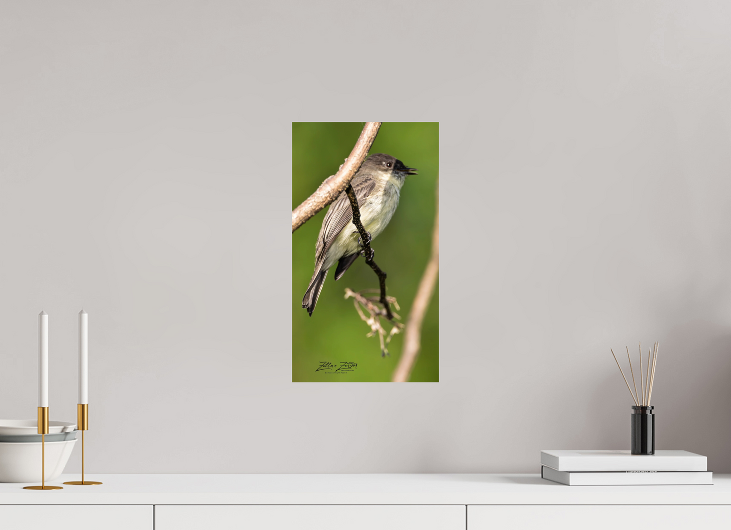 9 x 16″, Photo Print On Fuji Crystal DP II Zillas Zoom Image 423