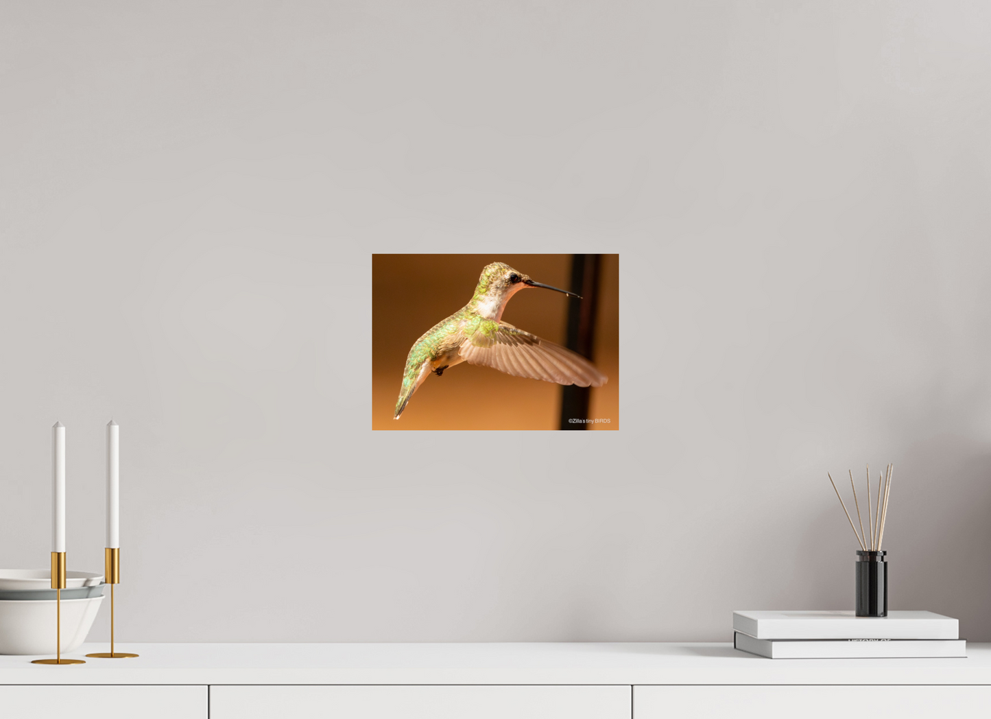 11.2 x 8″, Photo Print On Fuji Crystal DP II Zillas Zoom Image 351