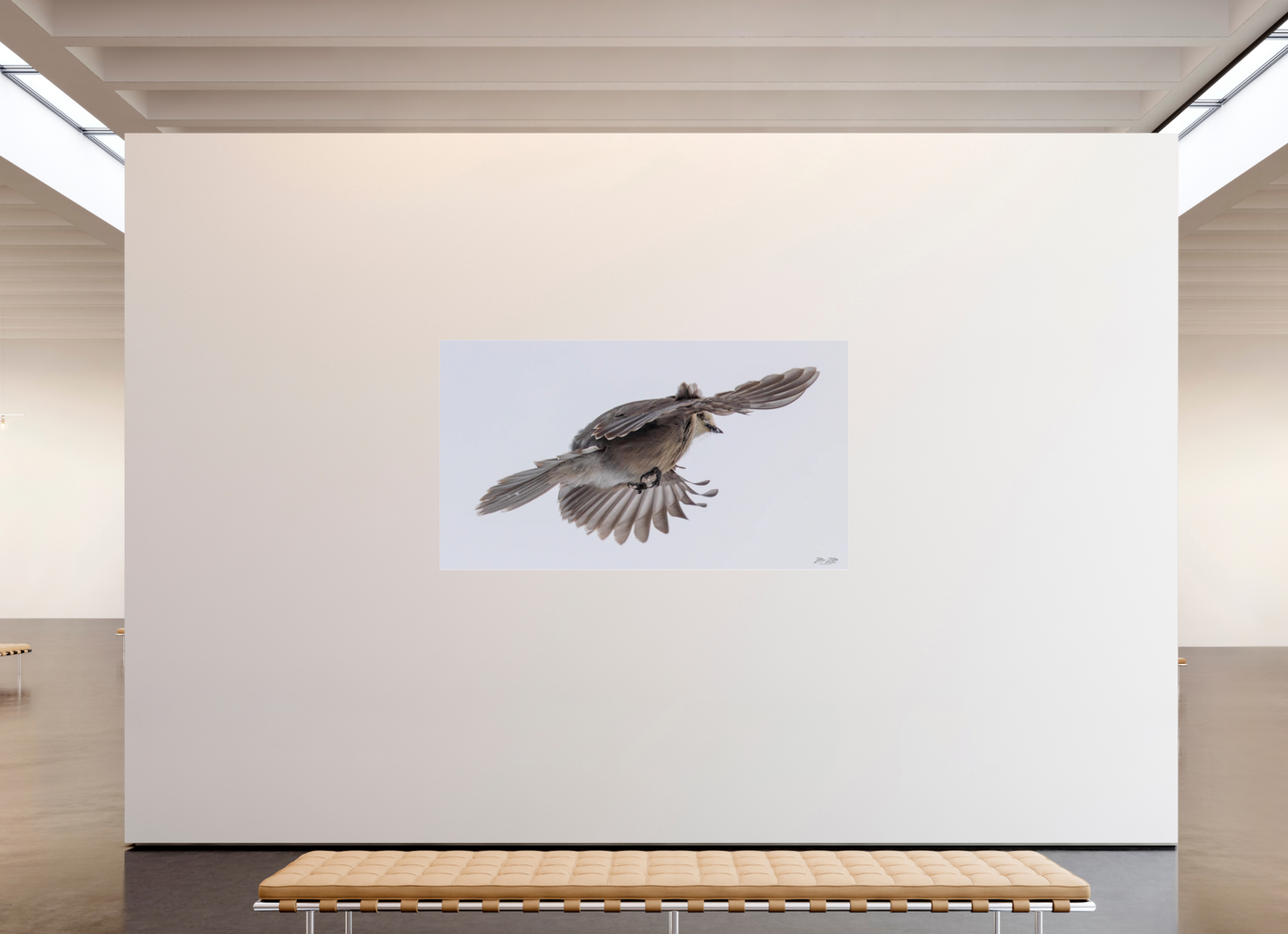 80 x 45″, Photo Print Under Acrylic Glass Zillas Zoom Image 352