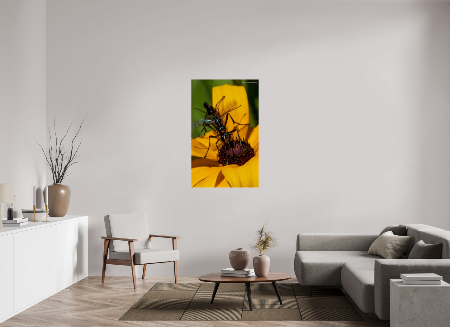 31 x 49.6″, Photo Print Under Acrylic Glass Zillas Zoom Image 108