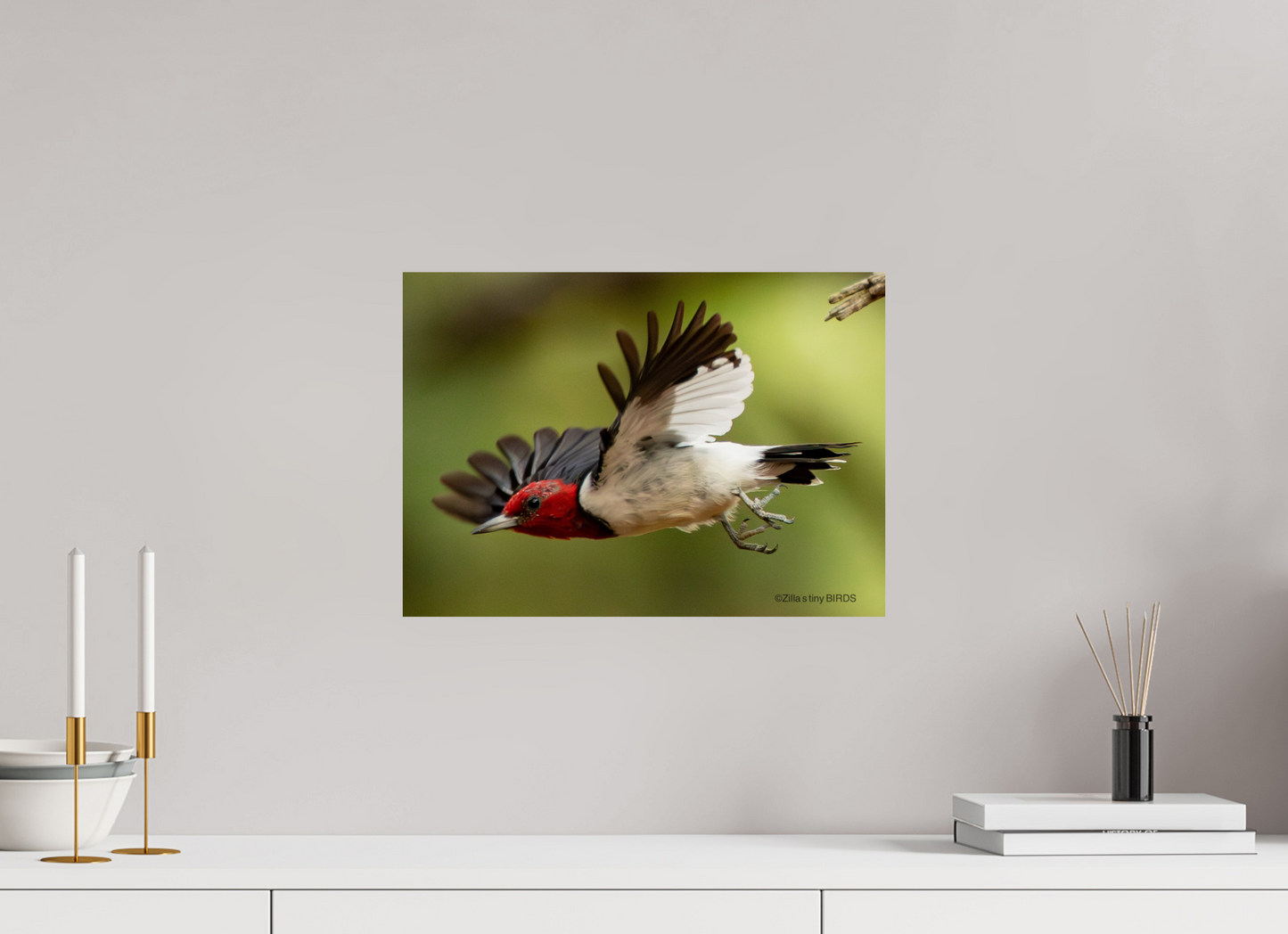 16.8 x 12″, Photo Print On Fuji Crystal DP II Zillas Zoom Image 274