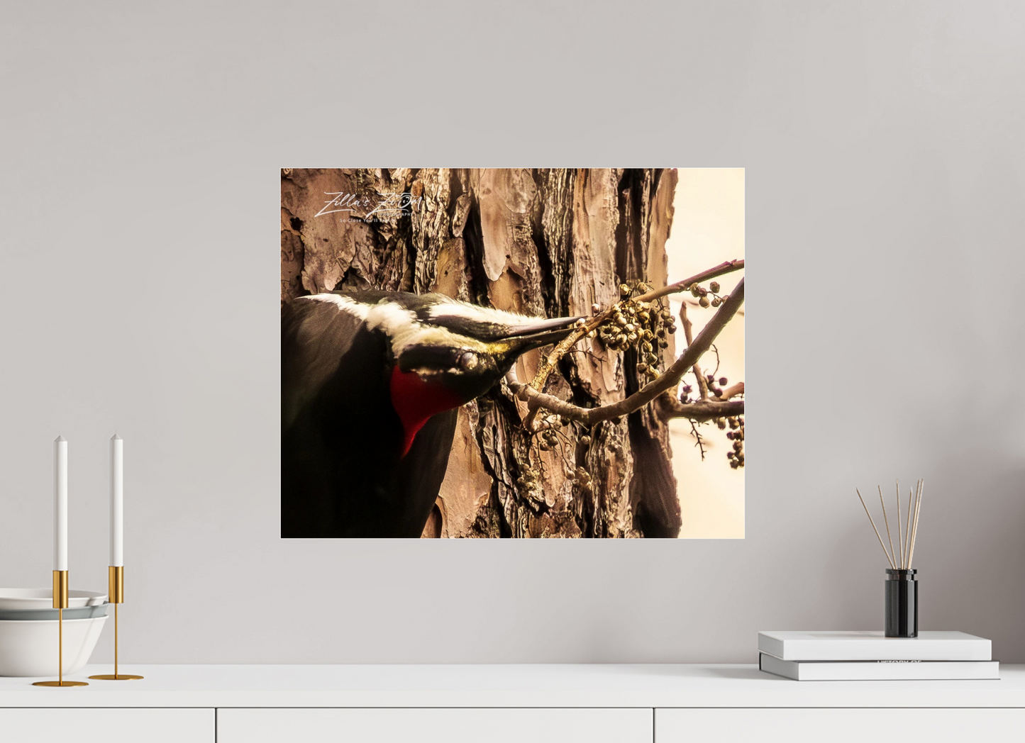 20 x 16″, Photo Print Under Acrylic Glass Zillas Zoom Image 280
