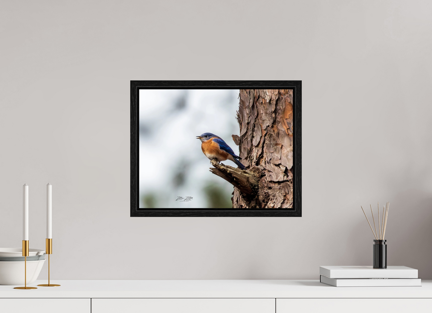 15.5 x 12″, Floater Frame Zillas Zoom Image 349