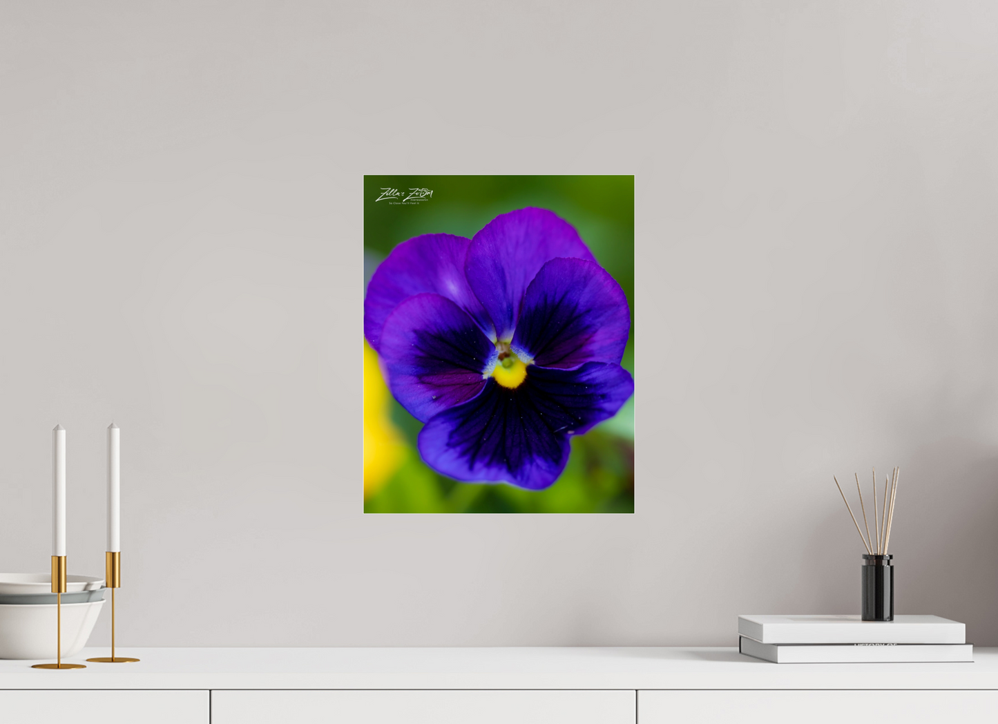 12 x 15″, Photo Print Under Acrylic Glass Zillas Zoom Image 117