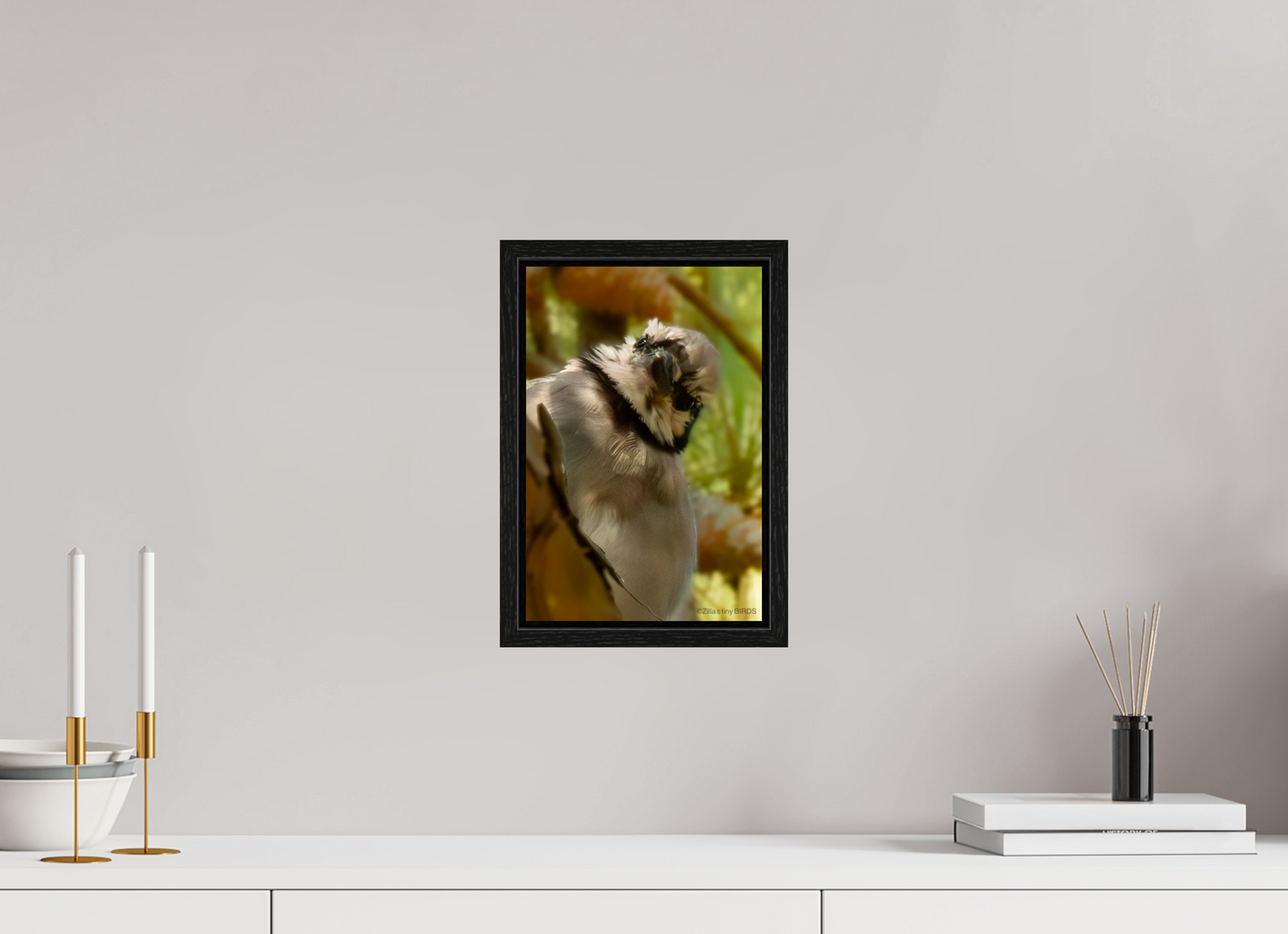 8 x 12″, Floater Frame Zillas Zoom Image 400