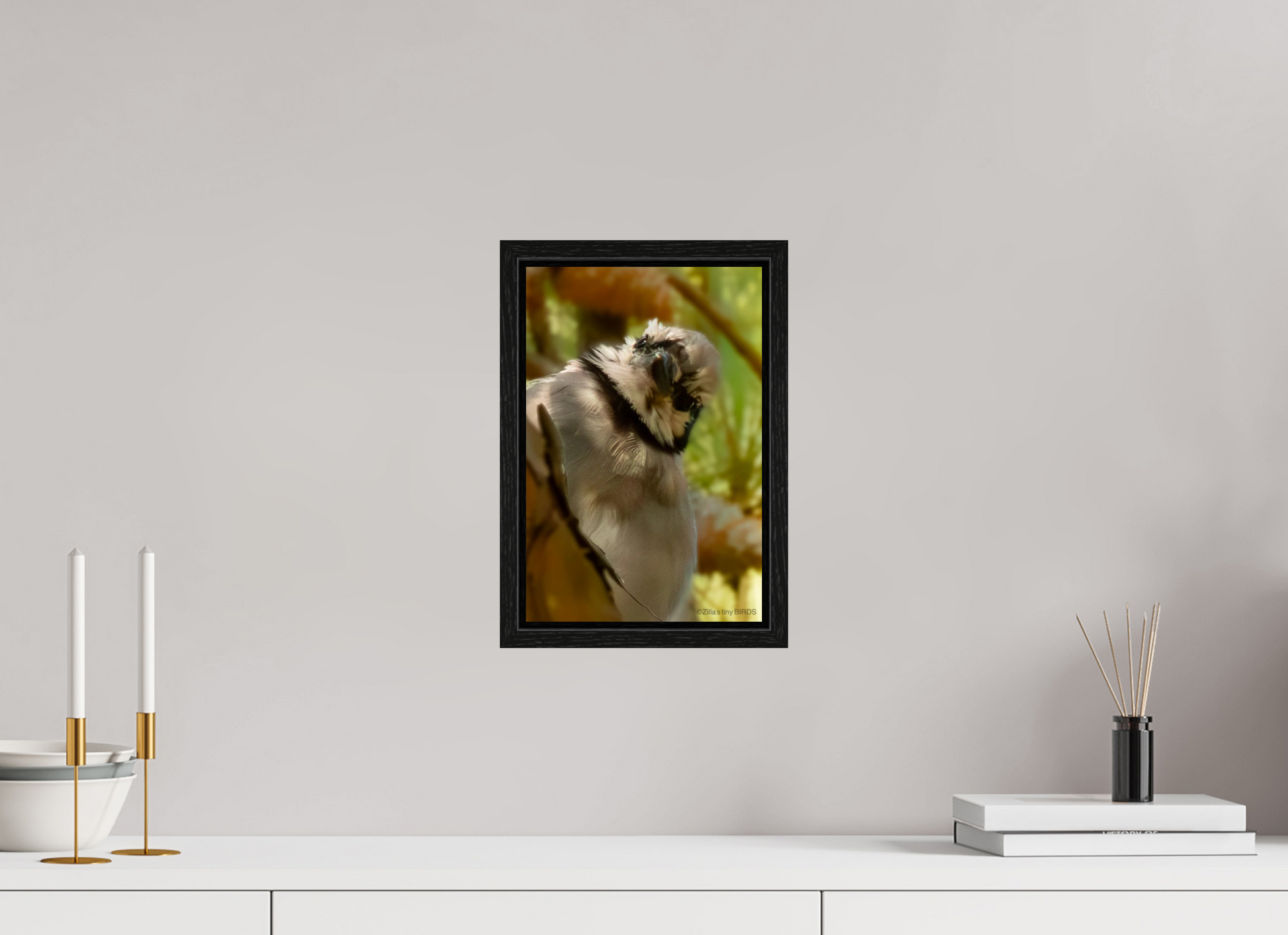8 x 12″, Floater Frame Zillas Zoom Image 400