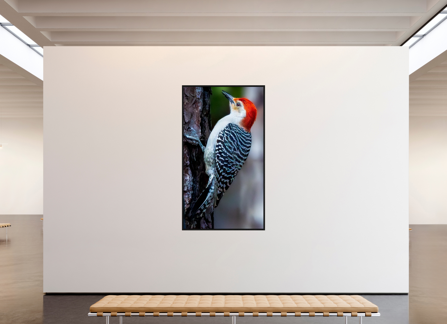 45 x 80″, Floater Frame Zillas Zoom Image 447